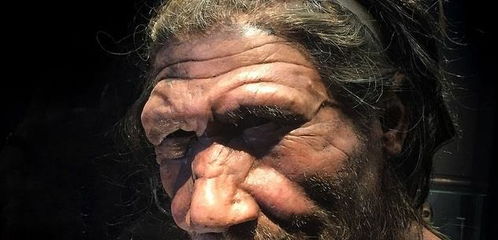 人类褪去体毛的谜团