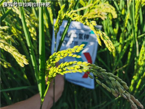 第二步：摸手感