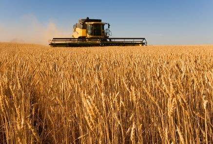 中国农业大学种子实验室数据