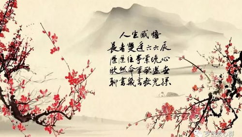 梅花之语，寓意坚韧、高洁