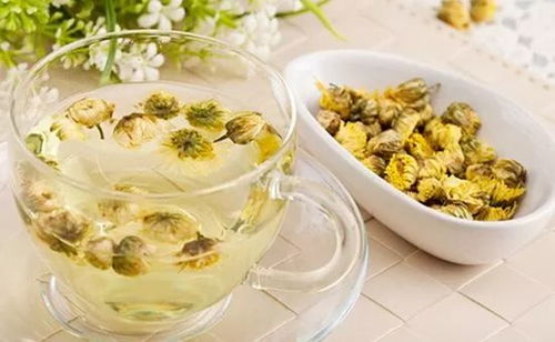 菊花茶代加工价格是多少？这份价格表