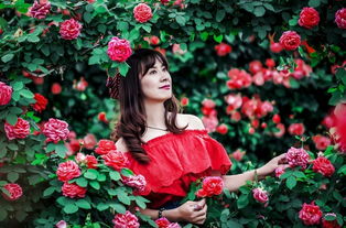 花开时节， 香气各异