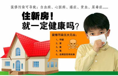 除甲醛大揭秘，哪种产品才是真英雄？