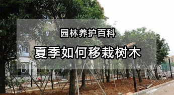 四、 严把施工环节