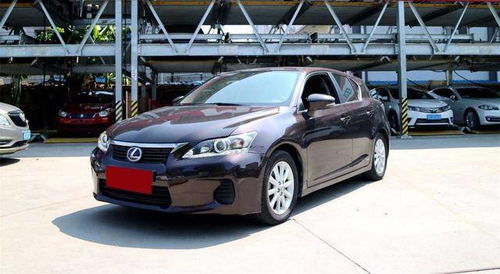 1、 亚伯拉罕达比月季