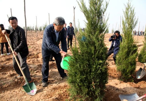 灌溉与施肥管理