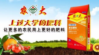 一吨贵州西洋牌复合肥要花多少钱？