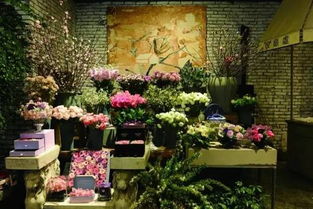 花店+咖啡厅，花香与咖啡香