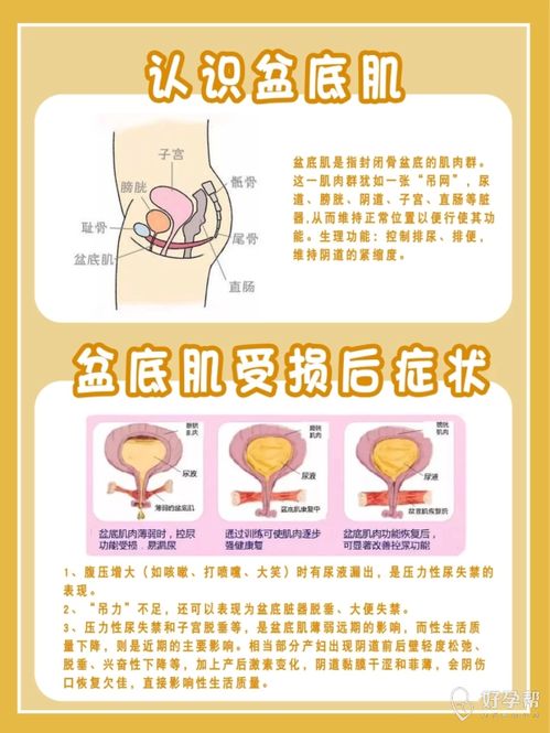 保持配种分娩率超90%，秘诀在于哪两点关键技术