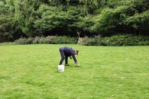 选草种，得堪三板斧！