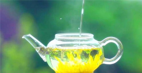 菊花泡水养生，你知道具体好处吗