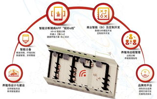 畜牧养殖，退烧药合理应用