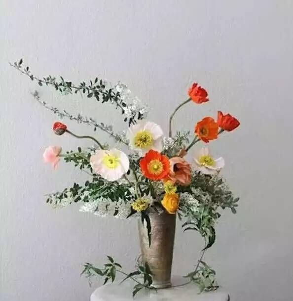 怎样种花草？我来告诉你几个小窍门