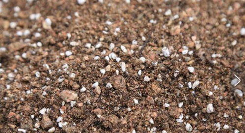 土壤杀菌，至关重要