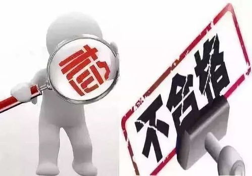 豆芽质量安全专项检查行动，旨在保障消费者食用安全