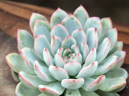 肥料用对是关键