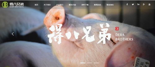 种猪批次化生产中，激素创新应用藏着哪些高效秘诀