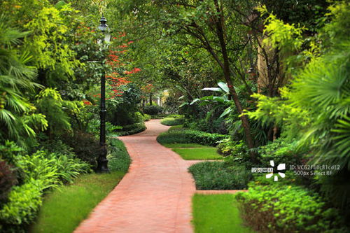 茶庭通道：谦逊而优雅的姿态