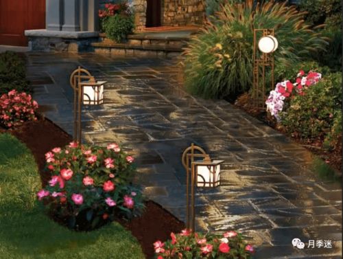 庭院照明灯的美妙之夜