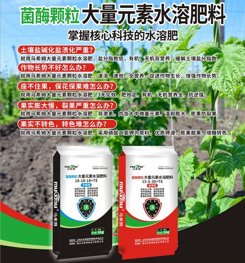 复合肥撒施与埋施效果对比，哪种更佳
