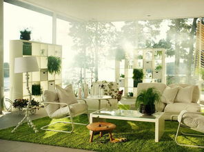 SP88——辐射防护的新发现