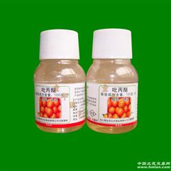 花盆里的虫子怎么消灭？哪种杀虫剂Zui好用？