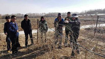 苗木栽植：不一样的绿色梦想