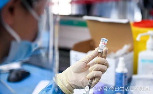 精准注射疫苗，确保动物健康
