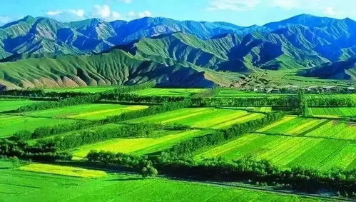 揭秘水循环：农业种植中不可或缺的三大要素！