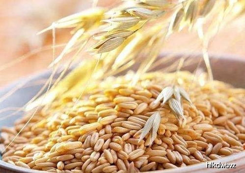 黄花菜+牛奶=营养流失？这份饮食清单请收好