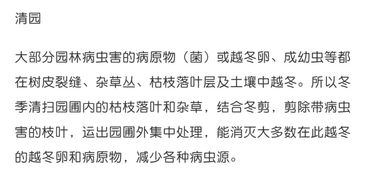 一月份：防寒越冬， 准备迎接新的一年