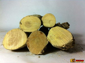 小叶黄杨：细腻柔韧的少女