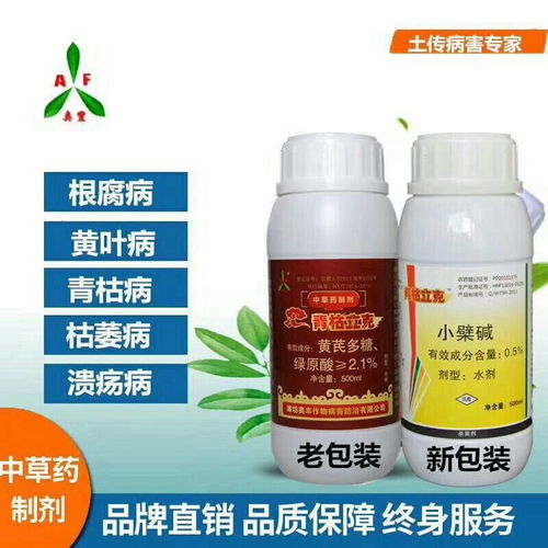 灌根？得讲究方法