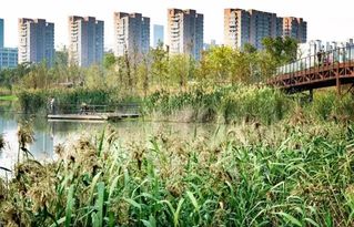 生态城市规划建设