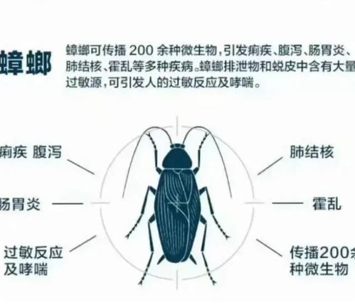 化学防治，效果如何？