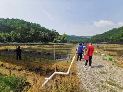 蚂蚱养殖存在安全隐患，需制定安全管理措施保障养殖户生命财产安全