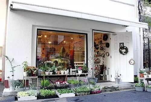 “店铺装修必备，种什么植物能打造文艺复古的独特风格