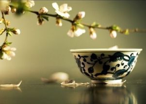 茶靡是什么？它为何如此迷人