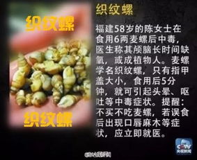 五、如何使用这些植物解药？