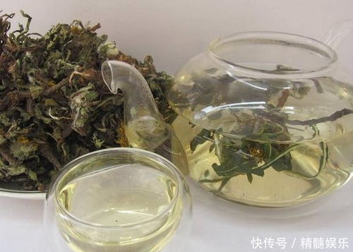 枣树根泡水的平安使用