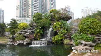 假山植物选择大揭秘