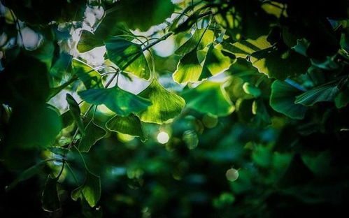 晒太阳，得讲究方法