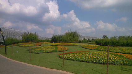 市政园林绿化， 美化家园的绿色魔法师