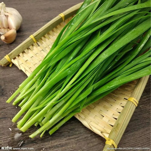 天津市场香菜韭菜价格降幅显著，成为最大降幅蔬菜