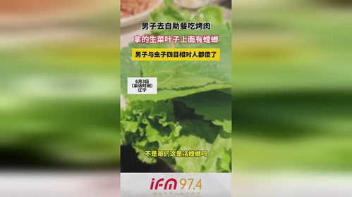 茉莉花遭虫咬，怎么办呢？