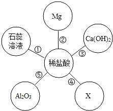 绿地肤种子种植全流程揭秘：如何省15天提高出苗率？