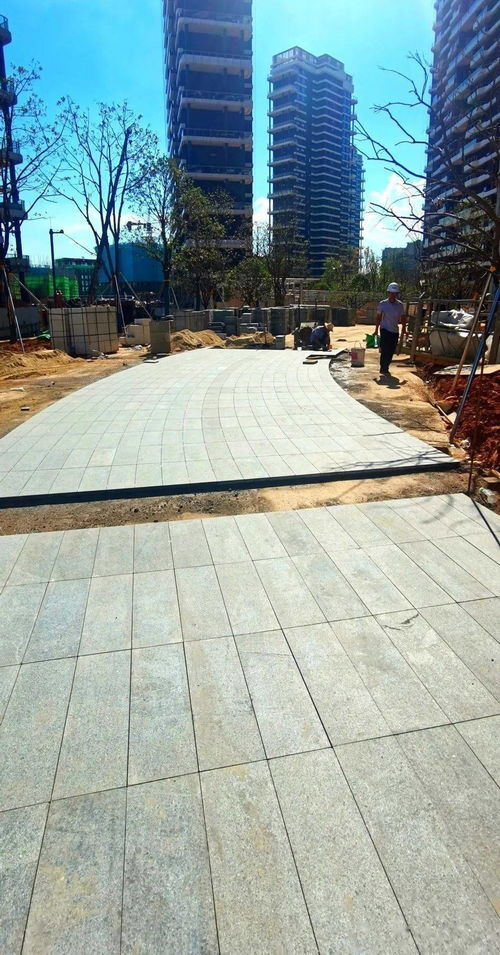 龟背式种植， 排水与根系生长的奥秘