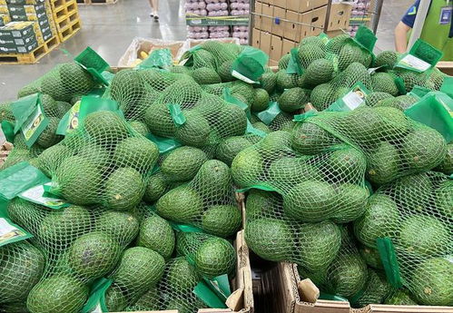 不用农药，那怎么防虫防病呢？