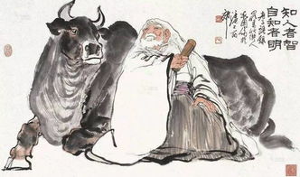 山影拳发白，其奥秘究竟何在