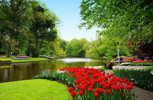 公园里的花花世界